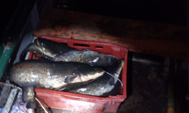 Рыбоохранный патруль Киевщины задержал браконьера