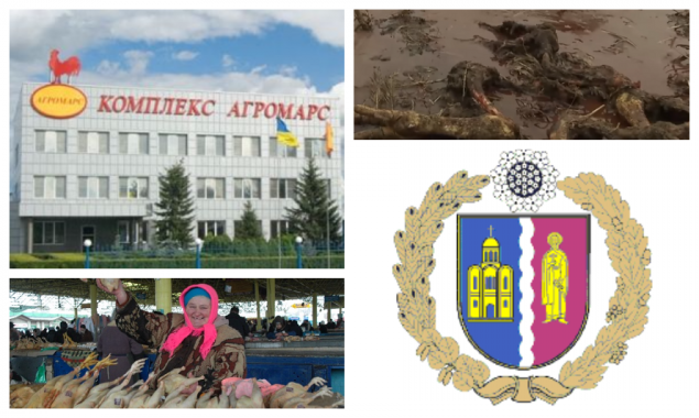 Гавриловский бунт. Жители Вышгородского района ополчились против птицефермы за экоцид