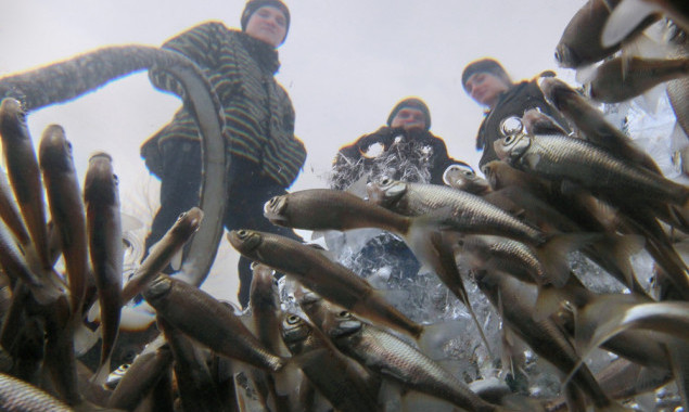 Для Киевской области создали онлайн карту зон, где запрещен вылов рыбы