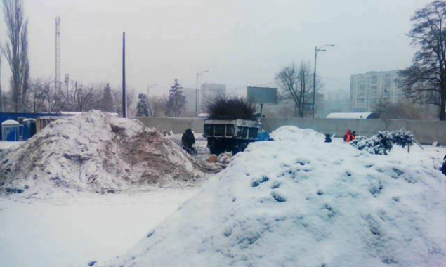 Ради строительства McDonald's на столичных Березняках уничтожили более десятка кленов (фото)