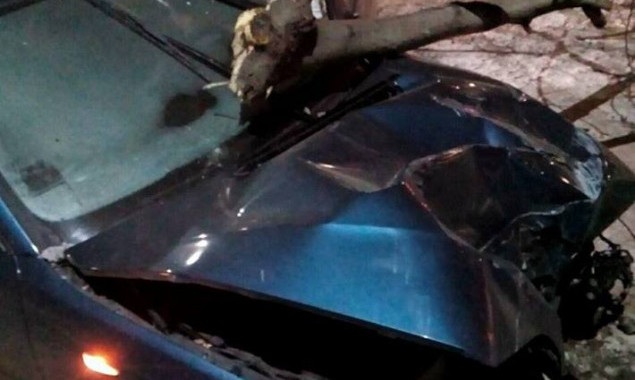 На Киевщине нарушительница на автомобиле сбила электроопору, дерево и попала в больницу (фото)