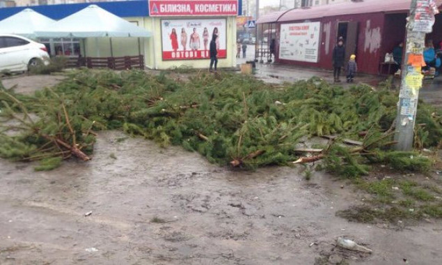 Киевлянам рассказали, когда и куда можно сдать новогодние елки