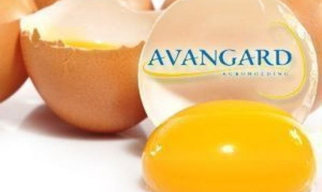 AVANGARDCO IPL получил разрешение на экспорт яиц в Европейский Союз
