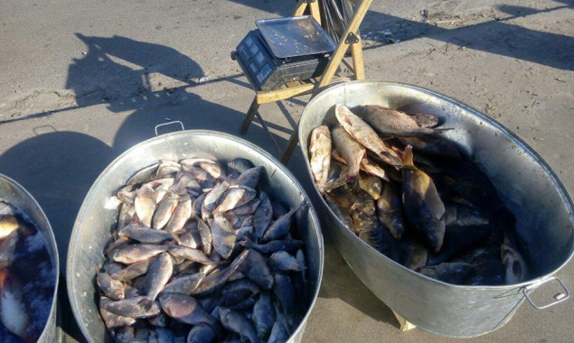 За две недели февраля Киевский рыбоохранный патруль зафиксировал 199 нарушений (фото)