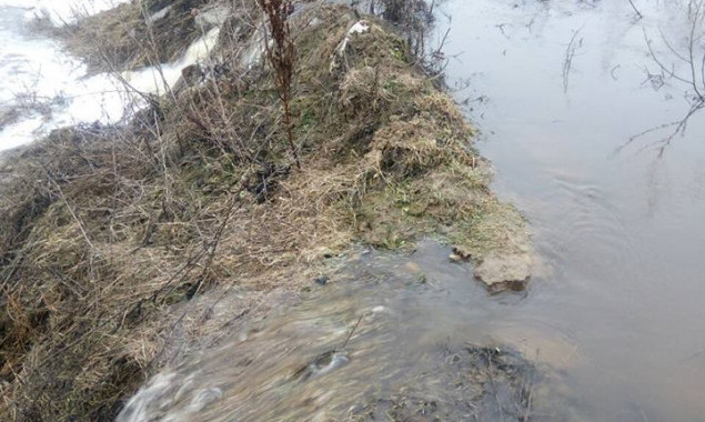 Возле Тарасовской мусорной свалки прорвало дамбу: вода с фильтратом течет в сторону населенных пунктов (фото)