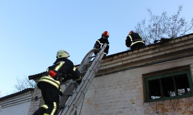 На Пасху в киевском зоопарке случился пожар