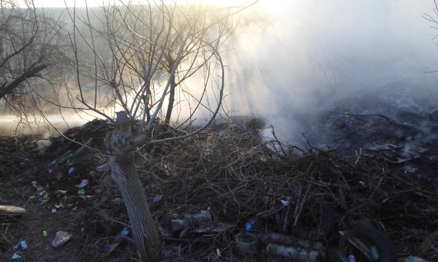 За последние сутки спасатели Киевщины ликвидировали 50 возгораний сухой травы