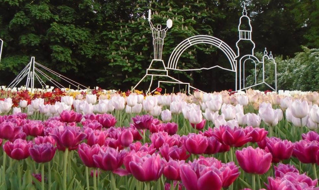 С сегодняшнего дня вход на территорию выставки тюльпанов на Певческом поле в Киеве бесплатный