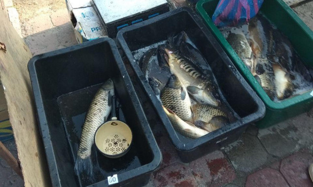 За праздники Киевский рыбоохранный патруль обнаружил 29 нарушений (фото)