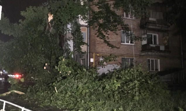 Во время грозы в Киеве упавшее дерево смертельно травмировало женщину (фото, видео)