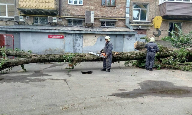 На прошлой неделе “Киевская служба спасения” 15 раз выезжала на уборку деревьев (фото)