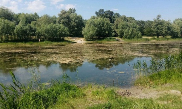 Местные жители просят расчистить озера в Подольском районе Киева