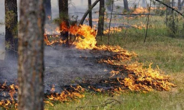 В нескольких районах Киевщины до 4 сентября сохранится чрезвычайный уровень пожароопасности