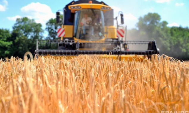 Первый миллион тонн зерновых собрали на Киевщине