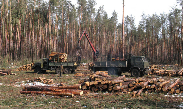 Несмотря на мораторий, в Дарницком лесопарковом хозяйстве продолжаются сплошные рубки леса