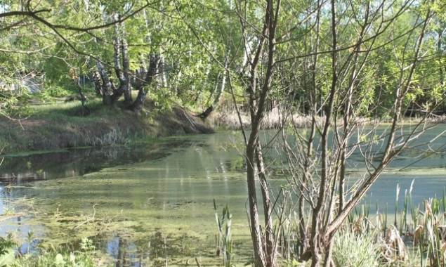 Благоустройство озера Подборная отдали компании, которая ранее чистила частные озера