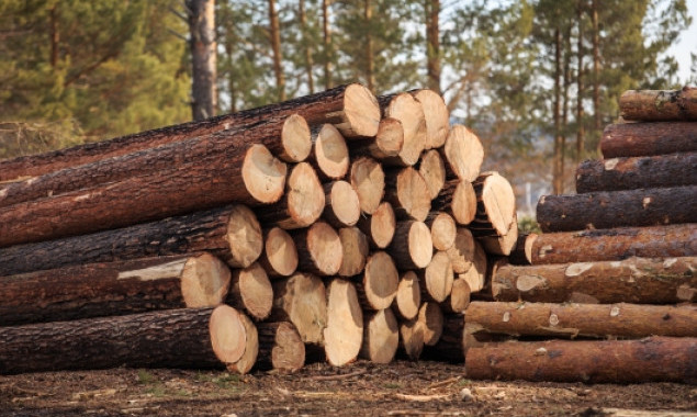 Кличко просят предупредить массовую вырубку здоровых деревьев в лесах КП “Дарницкое лесопарковое хозяйство”