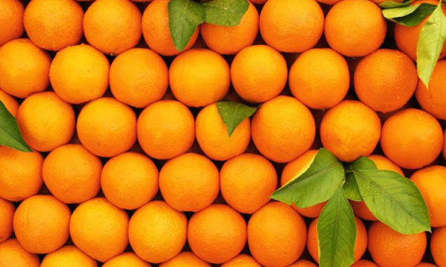 На Певческом поле в Киеве построят замки из апельсинов и лимонов