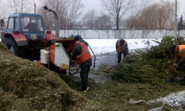 В Киеве заработал пункт приема и переработки новогодних елок