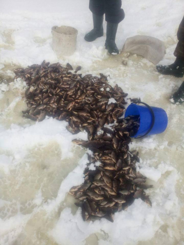 Киевский рыбоохранный патруль задержал нарушителей в Яготинском районе с уловом карася на 26 тысяч гривен (фото)