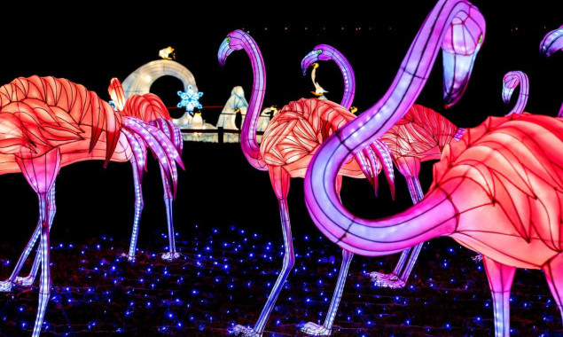 На Певческом поле в Киеве пройдет уникальный фестиваль гигантских китайских фонарей (фото, видео)