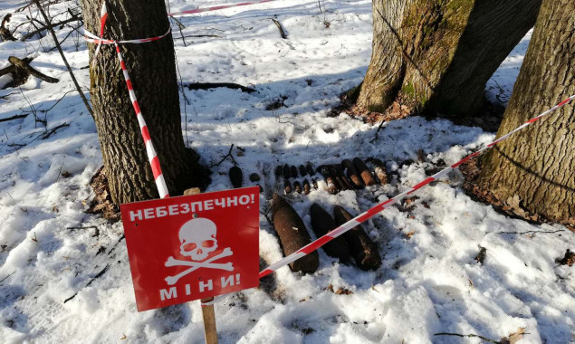 Пиротехники ГСЧС Киевщины уничтожили почти 30 взрывоопасных предметов (фото)