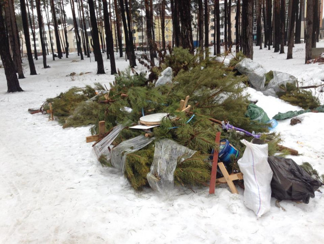Жители новых микрорайонов Ирпеня выбрасывают новогодние елки в лесопарковых зонах (фото)