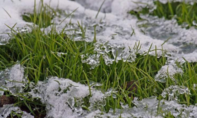 Первый температурный рекорд зимы в Киеве был зарегистрирован 17 февраля