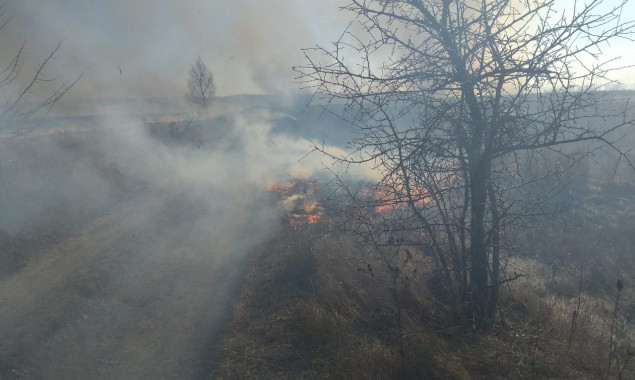 На Киевщине массово горит травяной настил, пострадала женщина (фото)