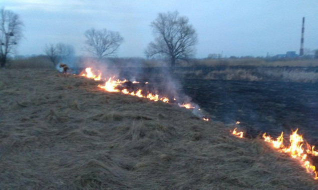 В Дарницком районе Киева горело 6 га травяного настила (фото)