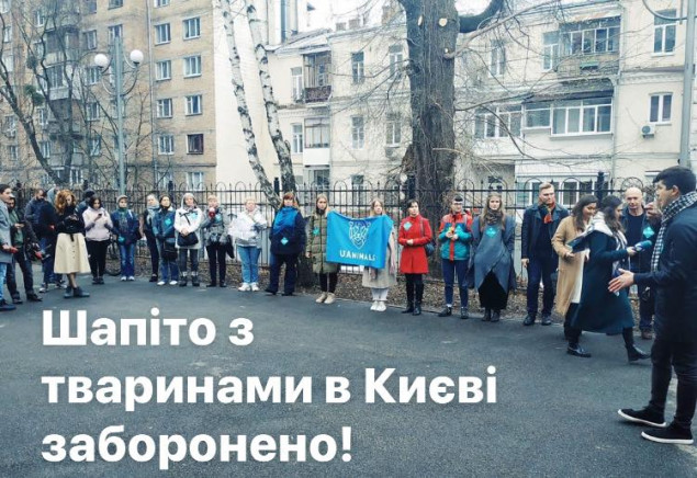 Суд запретил в Киеве деятельность шапито с животными