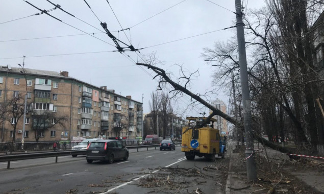 Шквальный ветер в Киеве: сорванные крыши, поваленные деревья и рекламные щиты (фото, видео)