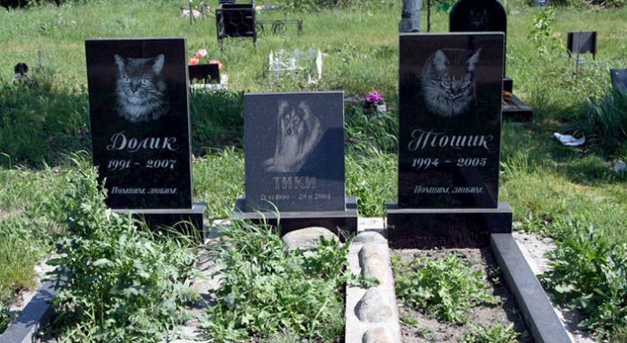 В КГГА снова обещают построить кладбище для животных и закрыть несанкционированные