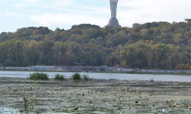 Киевляне просят столичные власти очистить воды Днепра возле моста Патона
