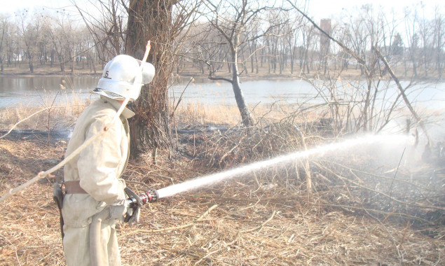 На Киевщине продолжаются пожары в экосистемах (фото)