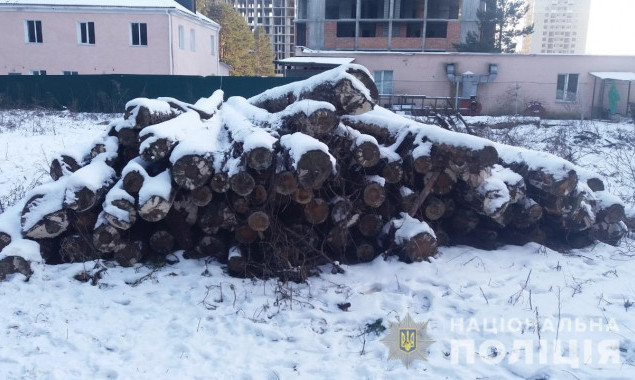 Более 200 деревьев без разрешения срезали двое мужчин в Ирпене на Киевщине - Нацполиция