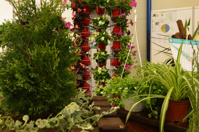 “Киевзеленстрой” на международной выставке Flower Expo Ukraine показал, как озеленяют столичные парки