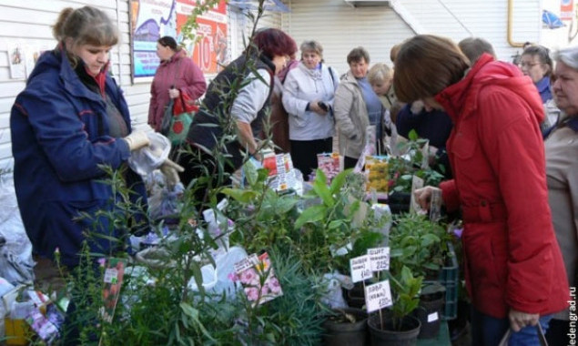 В Дарницком районе Киева 13 апреля пройдет ярмарка товаров для садоводов