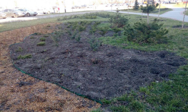 Из сквера в Деснянском районе Киева украли сотни кустов и деревьев (фото)