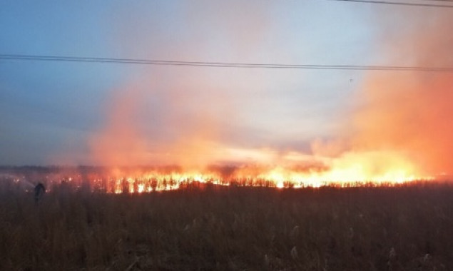 На выходных на Киевщине трава и мусор горели более 170 раз, в одном из пожаров погиб человек