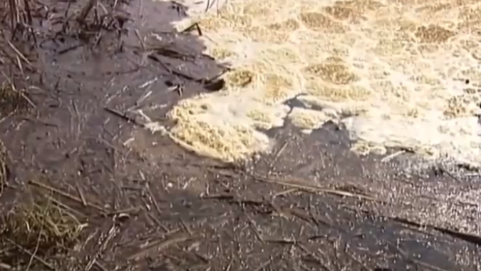 На Русановских садах киевляне опять выявили загрязнение местного озера (видео)