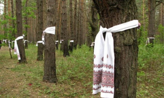 Прокуратура Киева подозревает предпринимателя в незаконной вырубке более 1,8 тысяч деревьев