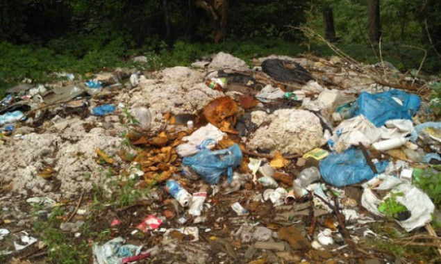 В Подольском районе Киева из-за отсутствия контейнеров для мусора появились стихийные свалки