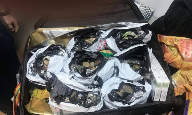 Таможенники Киевщины предотвратили вывоз из страны более 30 кг янтаря (фото)