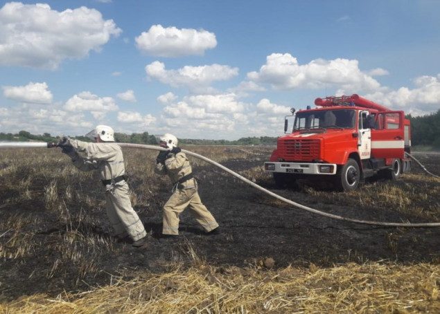 На Киевщине сгорело 15 га ячменя