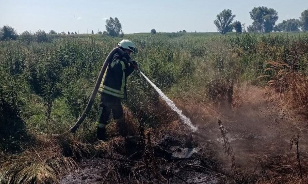 В Броварском районе пожарные борются с горением торфа в труднодоступных местах (фото)