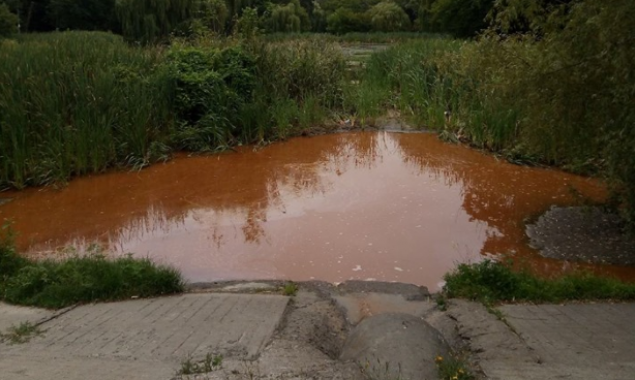 Озера в киевском парке Рыльского загрязнены неизвестным веществом (фото)