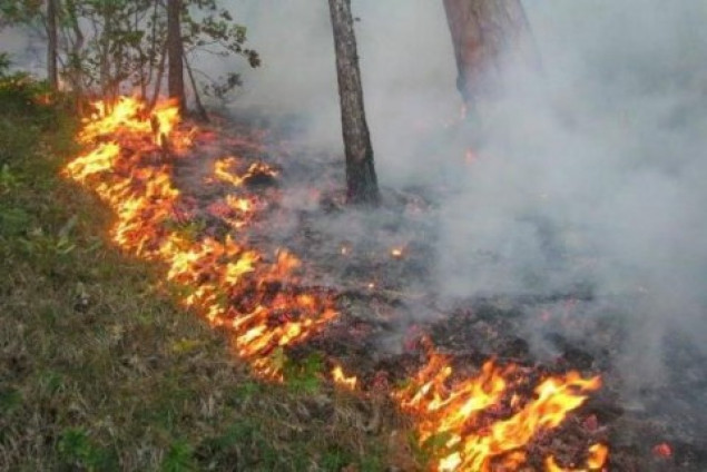 Спасатели предупредили о чрезвычайной пожароопасности на Киевщине