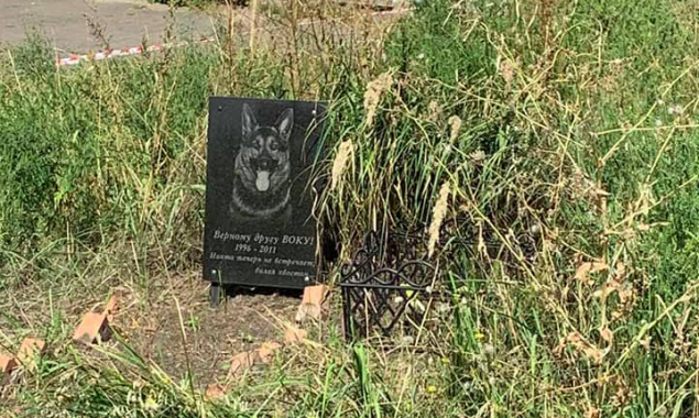 На Русановском кладбище животных под снос определили около 140 могилок (фото)