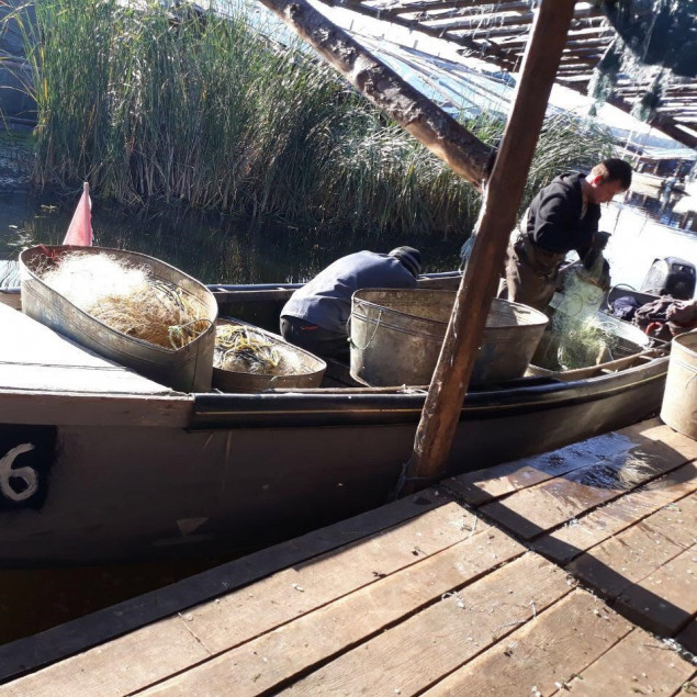Киевский рыбоохранный патруль за 6 дней зафиксировал убытков от незаконной рыбной ловли на 113 тысяч гривен